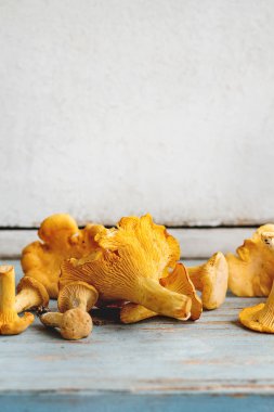 Mavi Beyaz ahşap mutfak masasında çiğ çiğ Chanterelles orman mantar. Rustik tarzı, gün ışığı, uzay kopyalayın. Yakın çekim