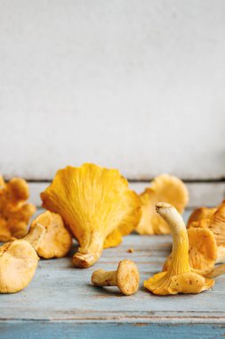 Mavi Beyaz ahşap mutfak masasında çiğ çiğ Chanterelles orman mantar. Rustik tarzı, gün ışığı, uzay kopyalayın. Yakın çekim