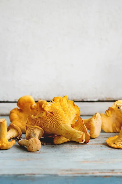Funghi Crudi Della Foresta Dei Finferli Crudi Sul Tavolo Cucina — Foto Stock