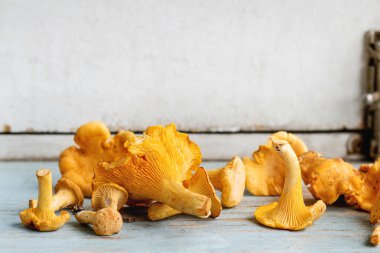 Mavi Beyaz ahşap mutfak masasında çiğ çiğ Chanterelles orman mantar. Rustik tarzı, gün ışığı, uzay kopyalayın. Yakın çekim