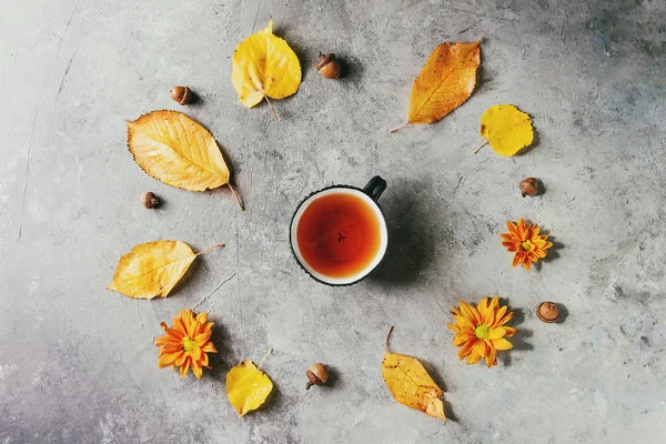 一杯热茶由黄秋叶装饰 紫花和橡子的灰色纹理背景 季节性背景 — 图库照片