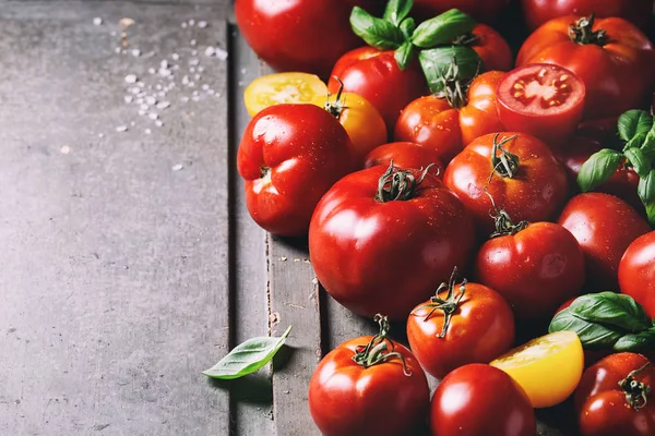 Olgun taze organik bahçe domates farklı tür ve su spot renklerle çeşitli ve fesleğen yaprakları eski gri ahşap arka plan üzerinde. Kopya alanı