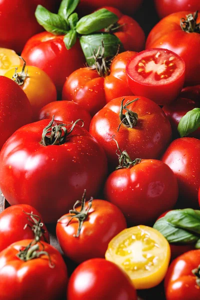Variety Ripe Fresh Organic Gardening Tomatoes Different Kind Colors Water — Stock Photo, Image