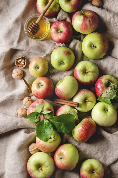 Ripe Organic Gardening Green Red Apples Leaves Walnuts Cinnamon Jar — Stock Photo, Image