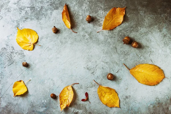Gelbe Herbstblätter Und Akronen Saisonaler Hintergrund Über Grauer Texturoberfläche Flache — Stockfoto