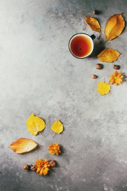 Sarı sonbahar tarafından dekore edilmiş sıcak çay yaprakları, aster çiçek ve meşe palamutları gri doku arka plan üzerinde. Düz lay, alan. Mevsimlik arka plan.