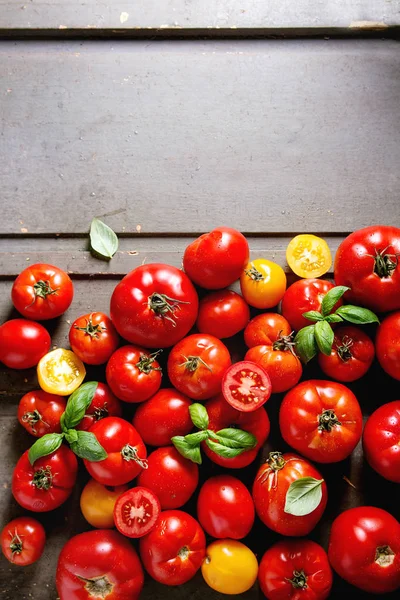 各种各样的成熟新鲜有机园艺西红柿不同种类和颜色与水斑点和罗勒叶子在老灰色木头背景 复制空间 — 图库照片