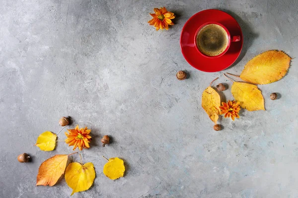 Cangkir Merah Kopi Hitam Dengan Busa Yang Dihiasi Dengan Daun — Stok Foto