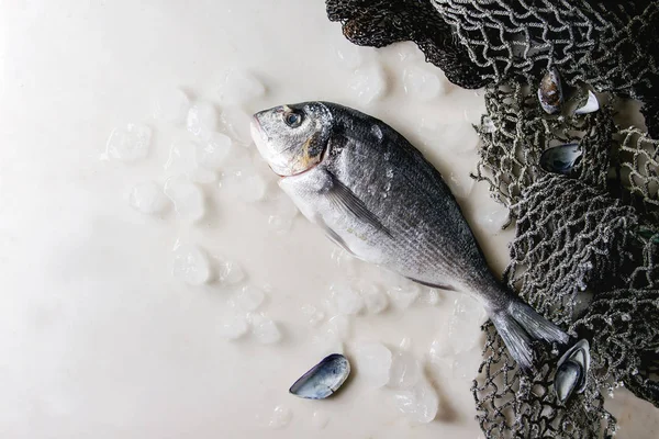 Orata Cruda Cruda Sventrata Pesce Dorado Ghiaccio Con Vecchie Reti — Foto Stock