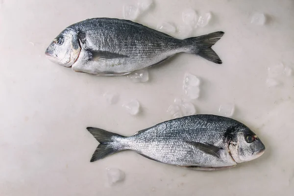 Два Сырых Сырых Невареных Морских Леща Рыбы Дорадо Льду Белом — стоковое фото