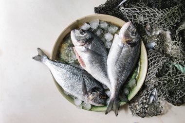 Çiğ çiğ yıkılmış çipura veya dorado balığı buz ve eski deniz balık ağlarına ve beyaz mermer zemin üzerinde kabukları ile seramik plaka üzerinde. Yat, alanı Kopyala. Pişirme kavramı