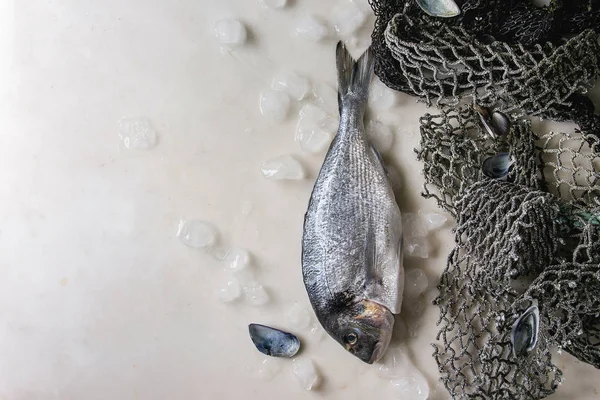 真鯛生調理全焼または古い海漁網と白大理石の背景に殻が付いている氷に Dorado フラット レイアウト スペースをコピーします 料理のコンセプト — ストック写真