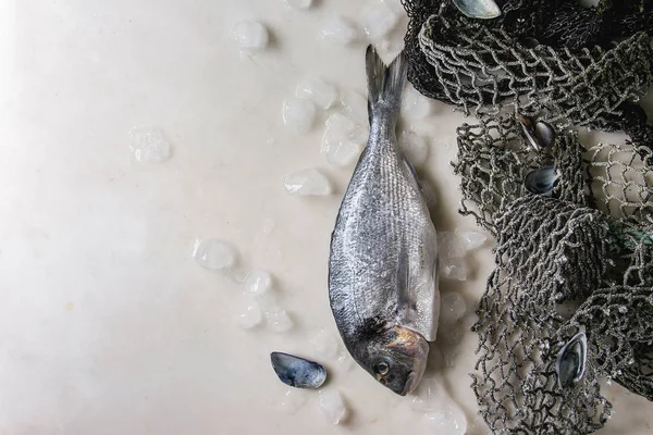 Orata Cruda Cruda Sventrata Pesce Dorado Ghiaccio Con Vecchie Reti — Foto Stock