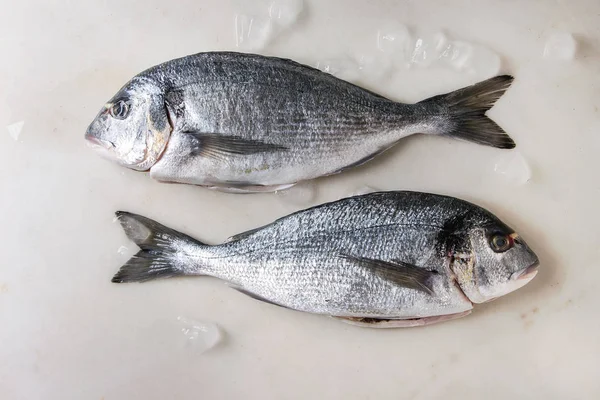 Two Raw Uncooked Gutted Sea Bream Dorado Fish Ice White — Stock Photo, Image