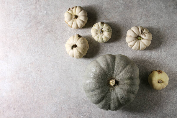 Grey Confection and white whole uncooked defected decorative pumpkins over grey texture surface. Flat lay, space. Autumn background.