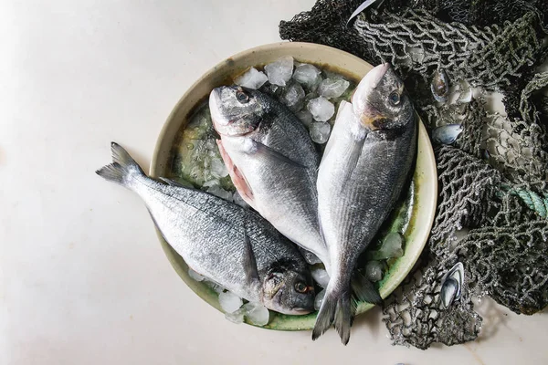 Raw uncooked gutted sea bream or dorado fish on ceramic plate with ice and old sea fishing nets and shells over white marble background. Flat lay, copy space. Cooking concept — Stock Image Raw Uncooked Gutted Sea Bream Dorado Fish Ceramic Plate Ice Royalty Free Stock Images