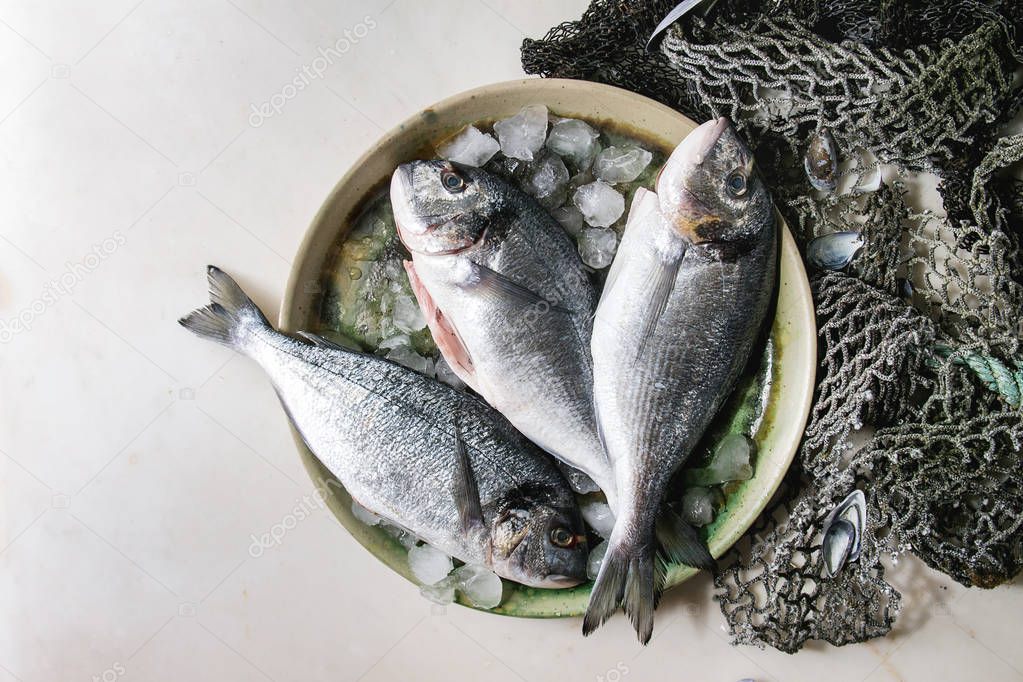 Raw uncooked gutted sea bream or dorado fish on ceramic plate with ice and old sea fishing nets and shells over white marble background. Flat lay, copy space. Cooking concept