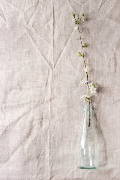 Spring White Pear Blooming Branch Blue Glass Bottle Table Linen — Stock Photo, Image