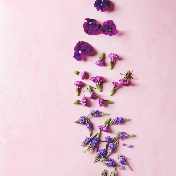 Variedad Flores Comestibles Color Púrpura Para Decorar Platos Sobre Fondo —  Fotos de Stock