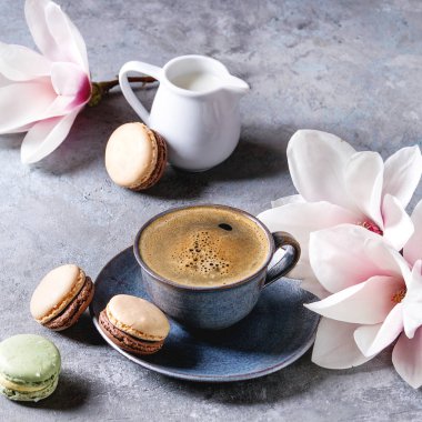 Mavi kupa siyah espresso ile Fransız tatlı macaroons kahve krema ve bahar çiçek Manolya dalları gri doku arka plan üzerinde. Üstten görünüm alanı. Kare görüntü