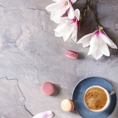 Mavi ile siyah espresso kahve fincan tatlı macaroons Fransız ve çiçekler Manolya dalları gri doku arka plan üzerinde bahar. Üstten görünüm alanı. Bahar tebrik kartı. Kare görüntü