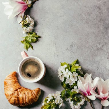 Siyah espresso kahve bir fincan pembe, kruvasan, krema ve bahar çiçekleri Manolya, çiçeklenme kiraz dallar gri doku arka plan üzerinde Fransız. Üstten görünüm alanı. Tebrik kartı. Kare görüntü