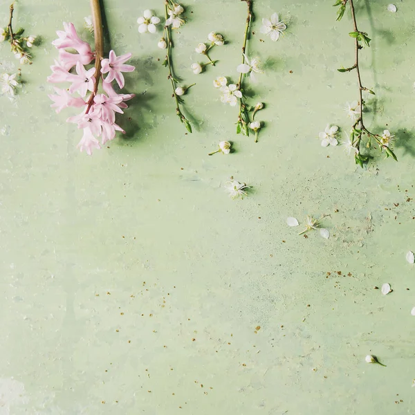 Primavera Ramos Flor Pêra Branca Jacinto Rosa Sobre Fundo Pastel — Fotografia de Stock