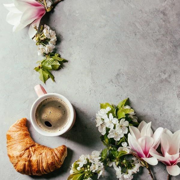 Siyah espresso kahve bir fincan pembe, kruvasan, krema ve bahar çiçekleri Manolya, çiçeklenme kiraz dallar gri doku arka plan üzerinde Fransız. Üstten görünüm alanı. Tebrik kartı. Kare görüntü