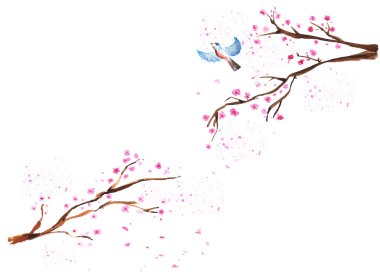 Suluboya sakura dalları