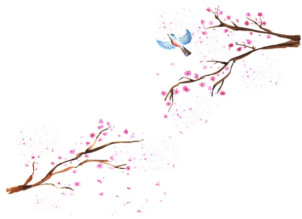 Watercolor sakura branches — Stock Photo, Image