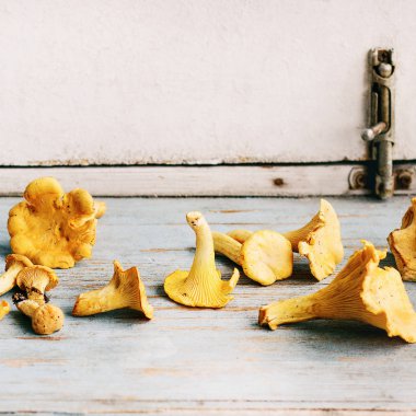 Çiğ çiğ Chanterelles mantar