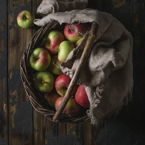 Ripe gardening apples — Stock Photo, Image