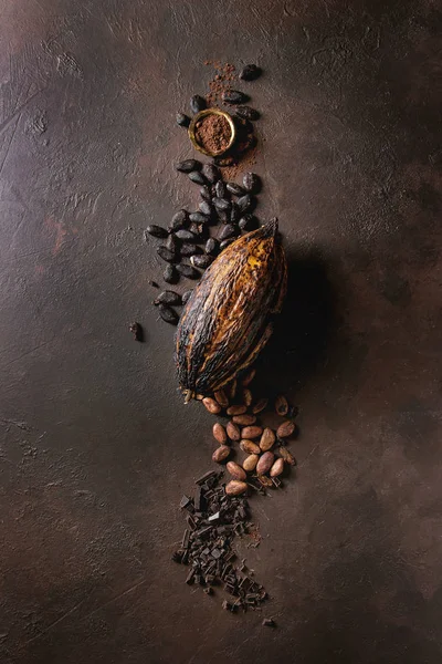 Variedad de granos de cacao —  Fotos de Stock