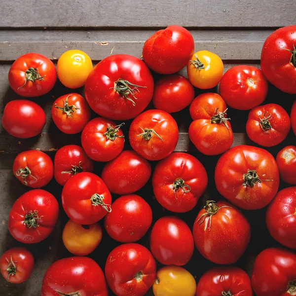 Tomates frescos maduros — Fotografia de Stock