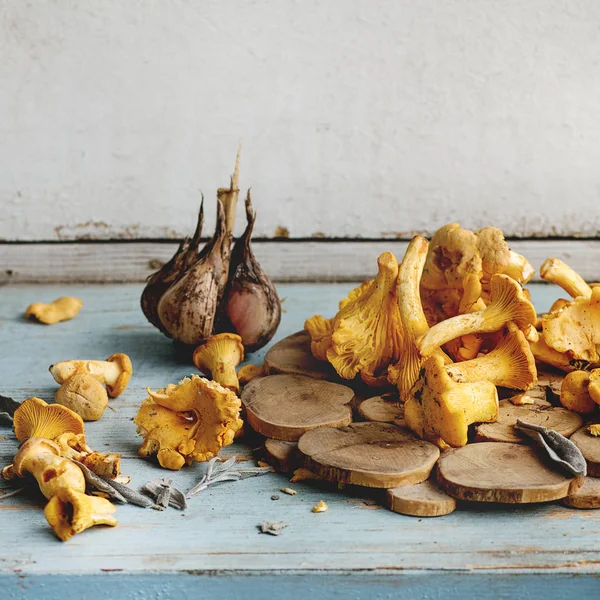 Raw uncooked Chanterelles mushrooms — Stock Photo, Image