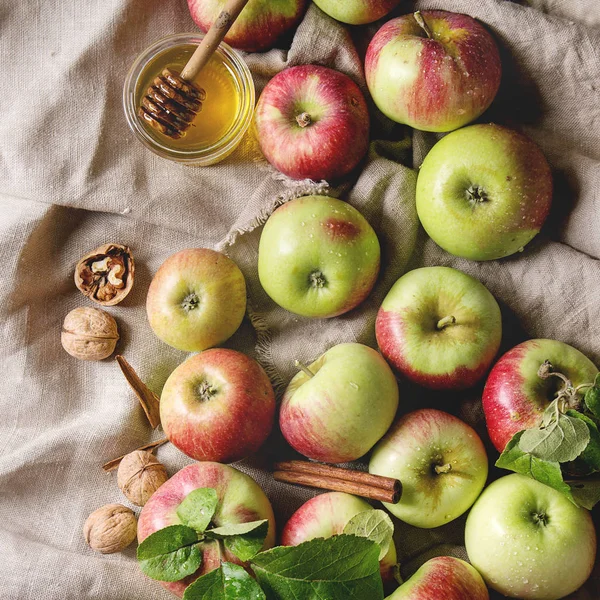 Ripe gardening apples — Stock Photo, Image