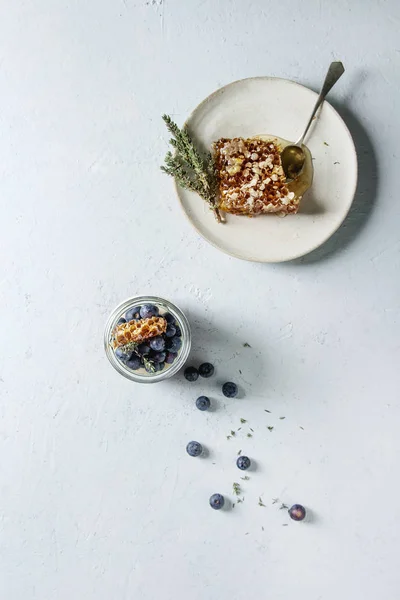 Panna cotta with berries — Stock Photo, Image