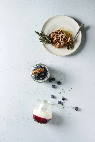 Panna cotta with berries — Stock Photo, Image