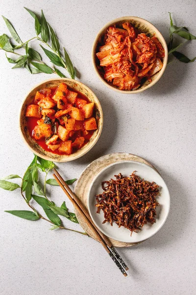 Aperitivo coreano kimchi — Fotografia de Stock