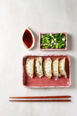 Köfte Gyozas potstickers