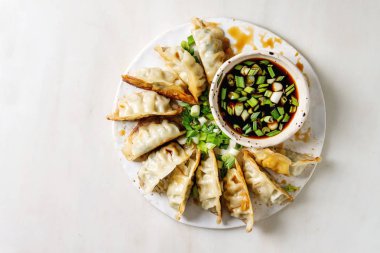 Köfte Gyozas potstickers