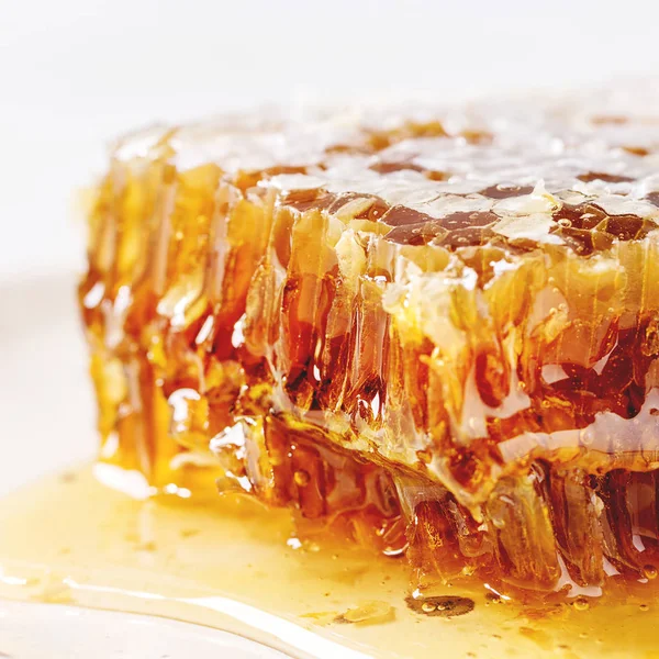 Honey in honeycombs — Stock Photo, Image