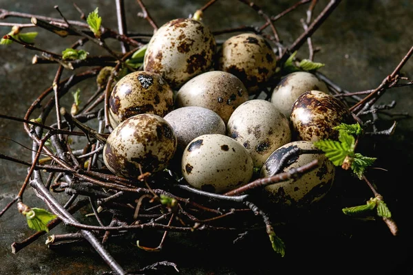 Uova di Pasqua di quaglia in nido — Foto Stock