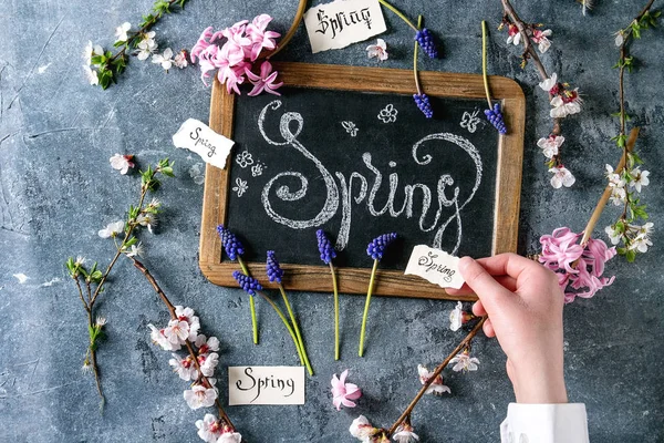 Spring blossom flowers — Stock Photo, Image