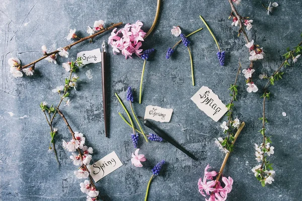 Spring blossom flowers — Stock Photo, Image