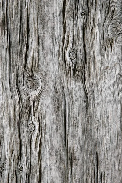 Trä abstrakt bakgrund — Stockfoto