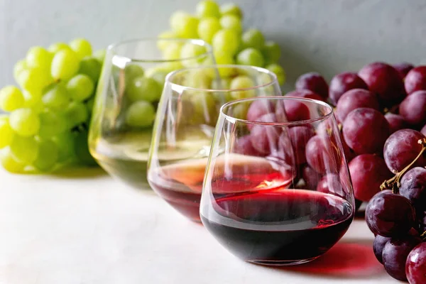 Variety of wine — Stock Photo, Image