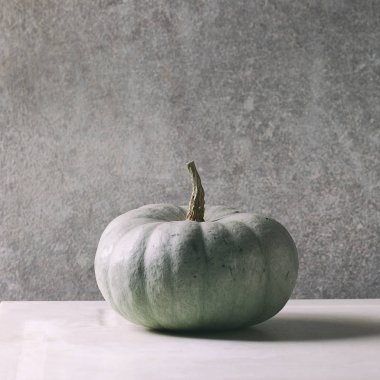 Gri büyük balkabağı