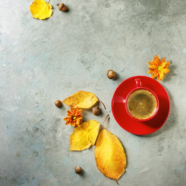 Jesień kubek kawy — Zdjęcie stockowe