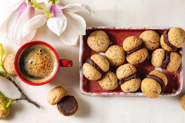 Baci di dama hazelnut biscuits — Stock Photo, Image